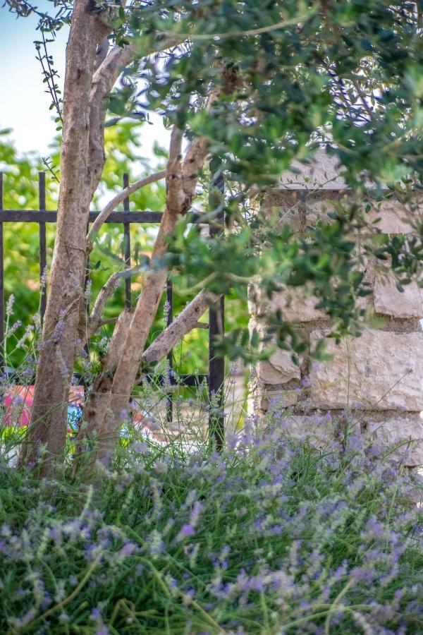 Apartment Li Tar-Vabriga Εξωτερικό φωτογραφία