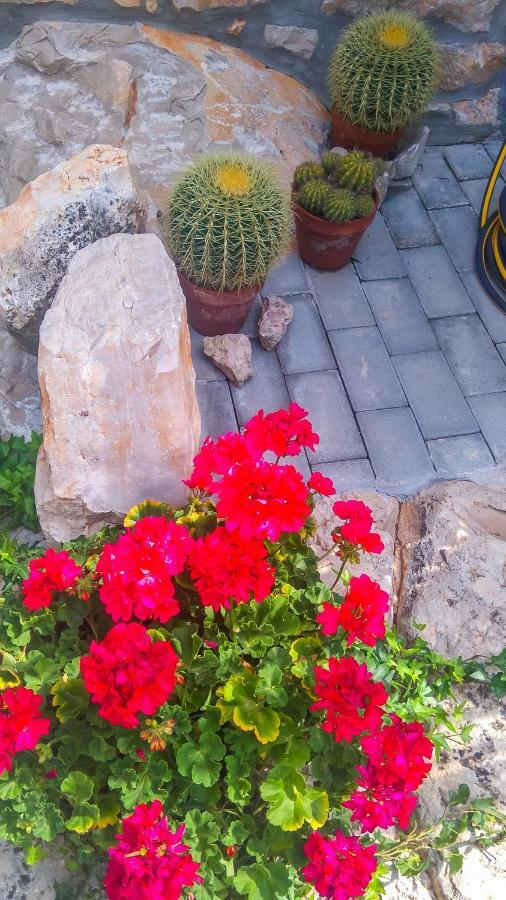 Apartment Li Tar-Vabriga Εξωτερικό φωτογραφία